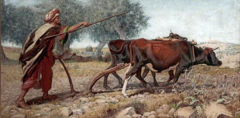 Ploughing Mount Zion
