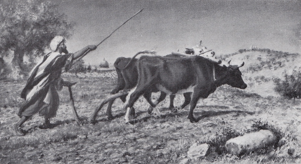 A Plough Team outside Jerusalem, Great Mosque in the background