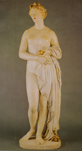 The Tinted Venus