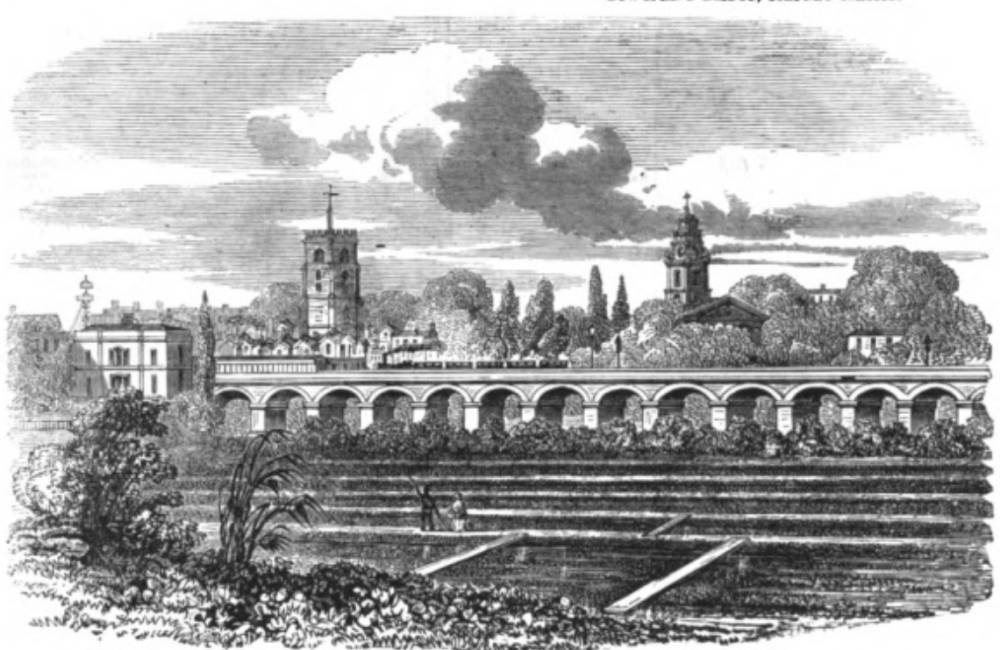 Hackney Station and Watercress Plantation